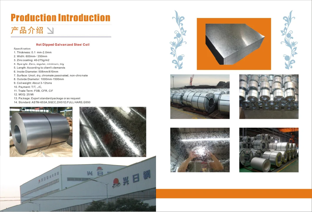 Zn-Al-Mg Alloy Coating Steel Ppzam 275g 150g Zinc Aluminum Magnesium Steel Coil
