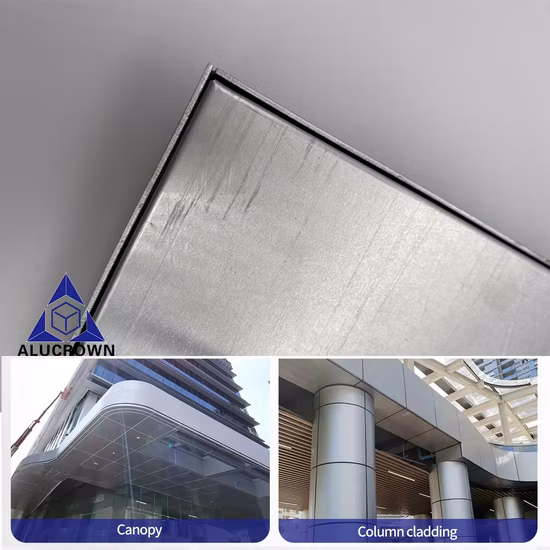 Conception adaptée aux besoins du client de bruit de plafond en métal en aluminium de Hall de panneaux solides de conception